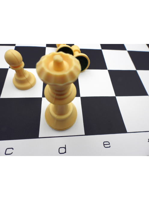 Vinyl chessboard 45 mm (black)