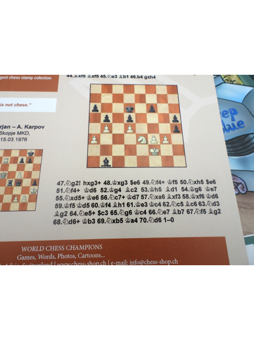 Poster Collection of 16 World Chess Champions (A4)